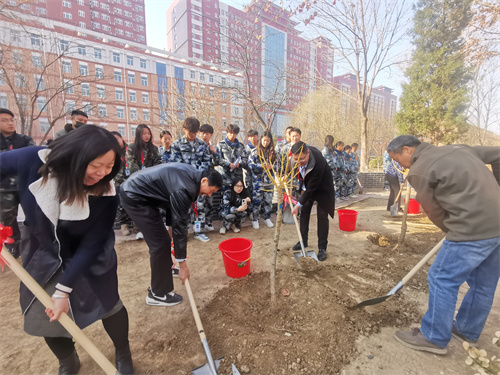 积极践行绿色理念，植树节活动圆满举行