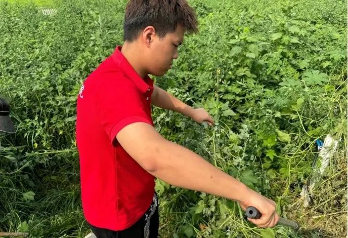 社会实践(十六)勇担时代使命,助力兴村振兴——best365体育官网登录入口经济学院“三下乡”社会实践