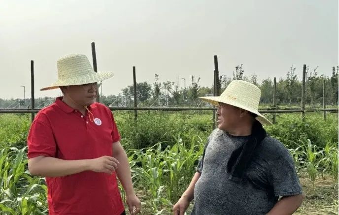 社会实践(十六)勇担时代使命,助力兴村振兴——best365体育官网登录入口经济学院“三下乡”社会实践