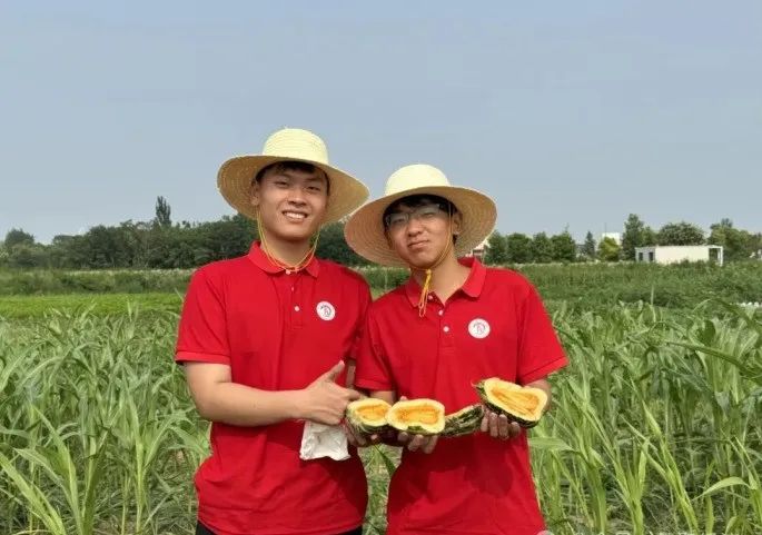 社会实践(十六)勇担时代使命,助力兴村振兴——best365体育官网登录入口经济学院“三下乡”社会实践